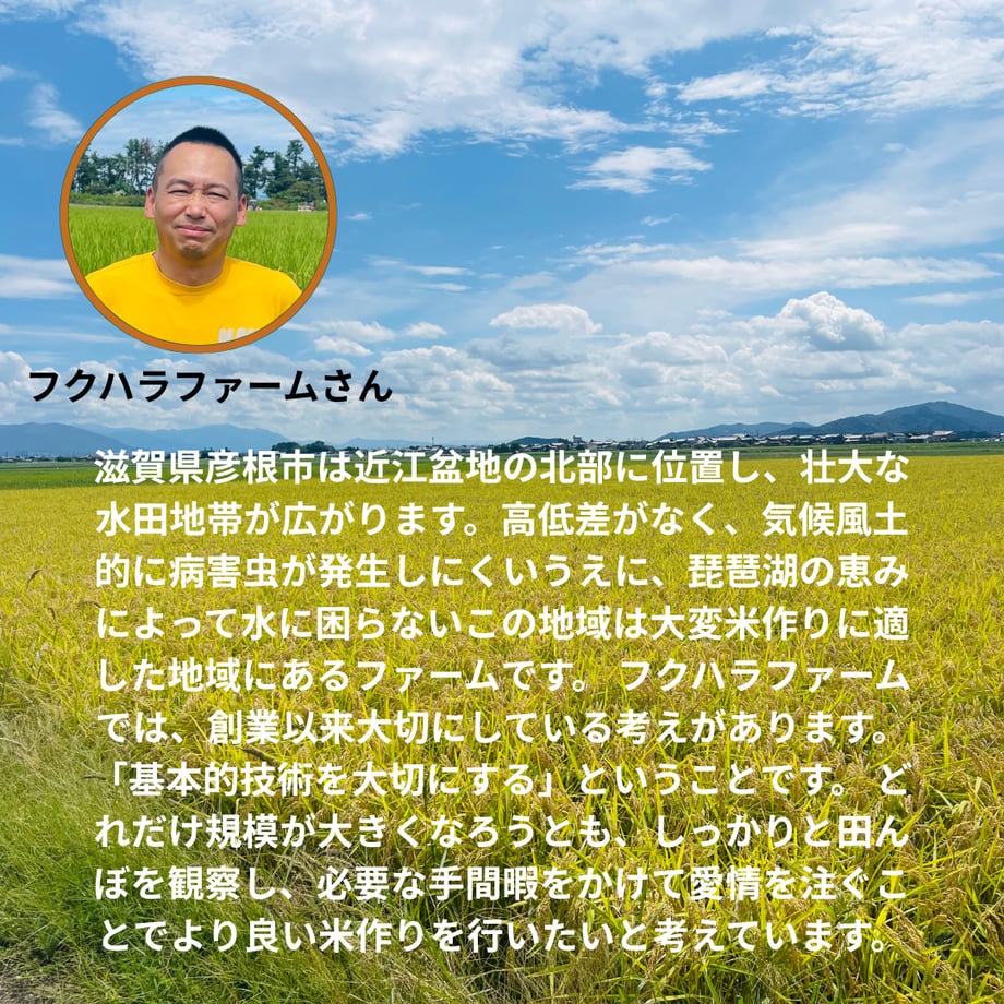 690047ebb7ac335188e7353d