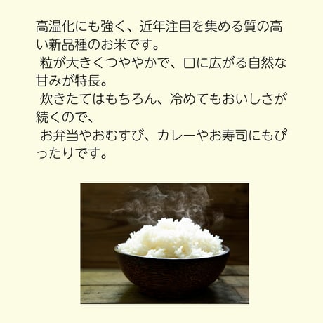 【にこまる】チャリティ米　5kg