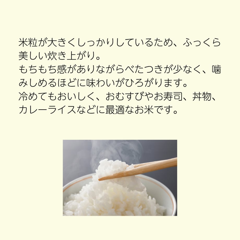 67619d68467cc70dcef26ee0