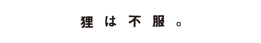 TANUKI WA FUFUKU
