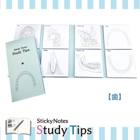 Sticky Notes Study Tips 【歯】