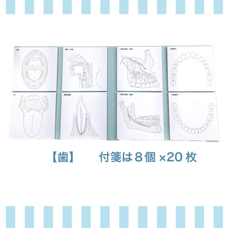 Sticky Notes Study Tips 【歯】