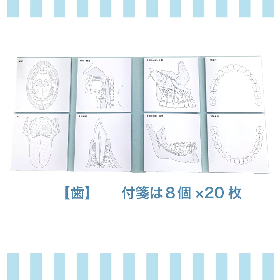 69ae3227e2dc7a251a0aeccd