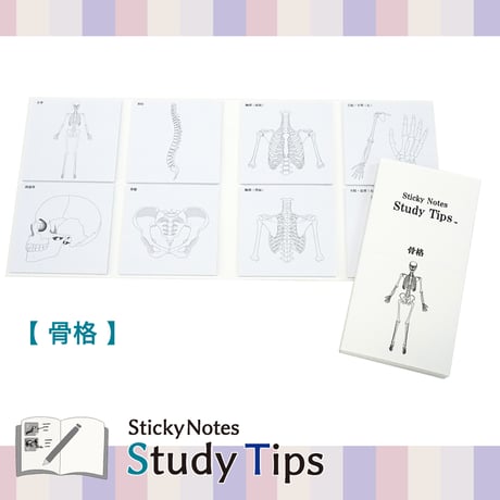 Sticky Notes Study Tips 【骨格】