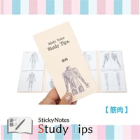 Sticky Notes Study Tips 【筋肉】