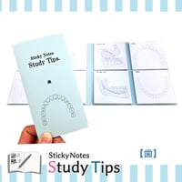 Sticky Notes Study Tips 【歯】