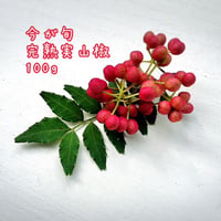 夢農場　完熟　実山椒　小枝付き　100g　レターパックライト