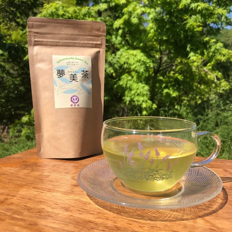茶夢様 深蒸し茶 夢茶 ボトル缶 約490g×24本 計約11.76kg ｜お茶 茶 緑茶 深