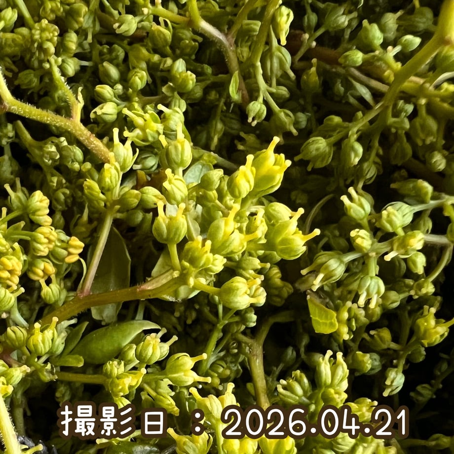69e55d193ffd8ebffaf6656d