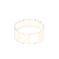 ペンライト ／ 10th Anniversary Live 2023 | JIN AKANIS