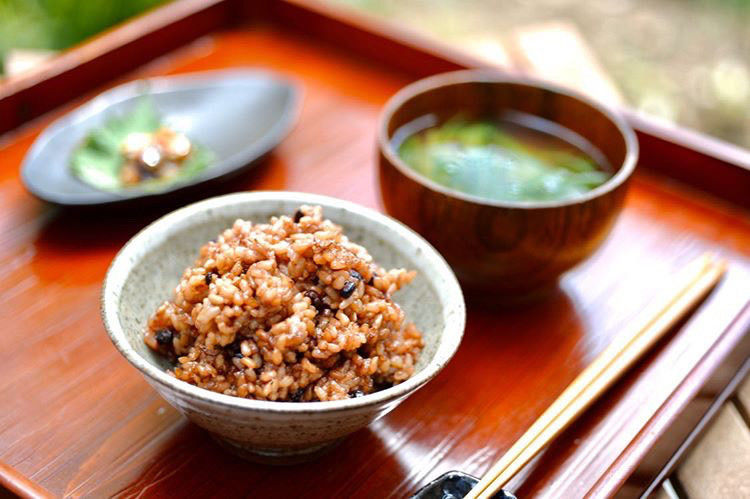 Natural farming自然栽培玄米 酵素玄米 長岡式 食養ご飯 一汁一菜 - 米