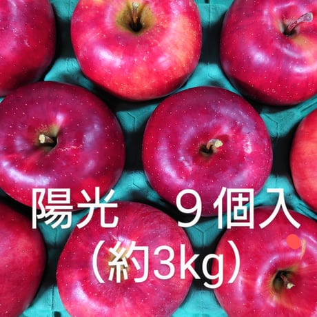 【期間限定販売】川場村のりんご　陽光  8個（約3kg）