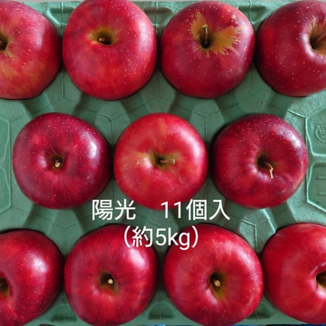 【期間限定販売】川場村のりんご　陽光  11個（約５kg）