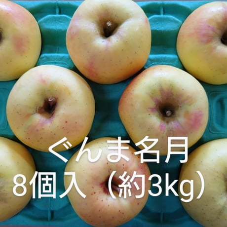 【期間限定販売】川場村のりんご　ぐんま名月  8個（約3kg）
