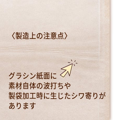 グラスパック【ポチ袋】グラシン紙/クラフト紙｜茶無地｜名刺サイズ対応 半透明 透ける紙袋 平袋