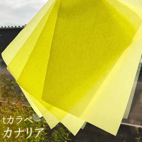 在庫限り▼tカラペ ｜無地｜A4 約50枚｜薄葉紙 ラッピングペーパー インナーラップ 緩衝材 薄紙 折り紙