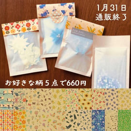 🧧グラシン紙のおすそわけ袋【グラスパック】 | そ・か・な 公式