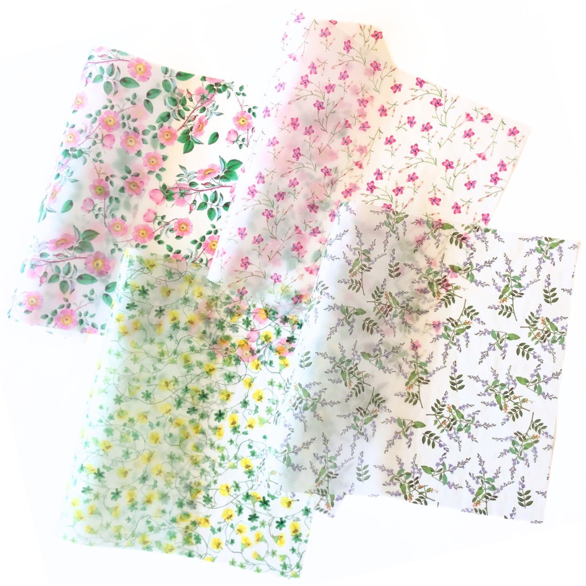 fit=scale-down,w=1200