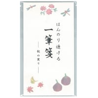 特製｜高筆記性薄紙5リーフ使用｜ほんのり透ける一筆箋｜春夏秋冬 天のり便箋くるみ製本｜日本の四季