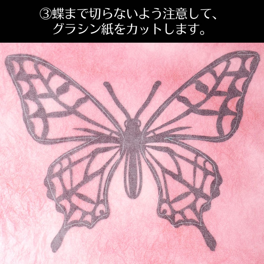 60f5055a444ad93d4715ea81