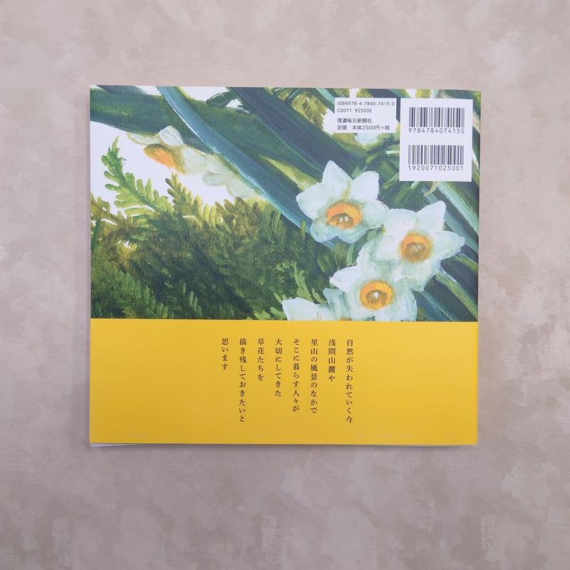 橋本不二子 初の画集 Recollection HASHIMOTO FUJICO | 白秀堂 橋本不二子 初の画集 Recollection HASHIMOTO FUJICO | 白秀堂