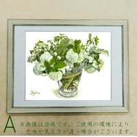橋本不二子監修　選べる額装作品　太子サイズ【オオデマリとコデマリ】