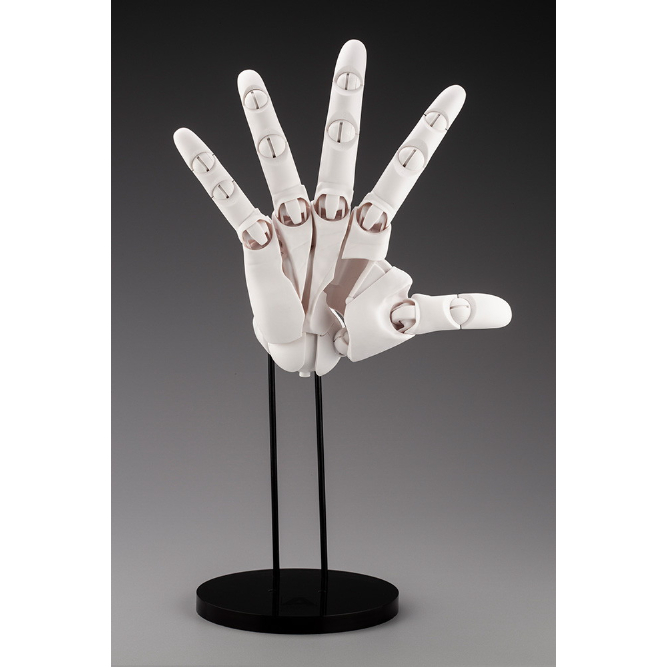 超人気】ARTIST SUPPORT ITEM ハンドモデル/R（右）/ホワイト | 白秀堂