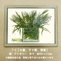 橋本不二子監修　額装作品　マットなし太子サイズ　T-５【小麦，ライ麦，燕麦】