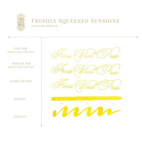 FERRIS WHEEL PRESS（FRESHLY SQUEEZE）ボトル入り万年筆インク 38ml