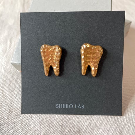 CATEGORY SHIIBO LAB. | CHIKUHO WEB SHOP
