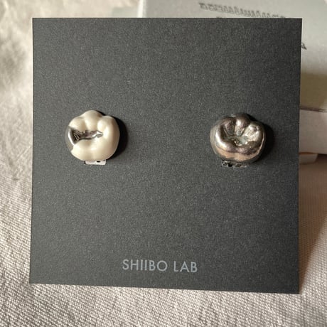 CATEGORY SHIIBO LAB. | CHIKUHO WEB SHOP