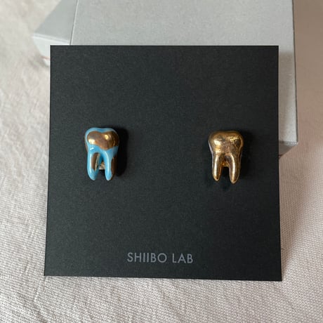 shiiboさんの奥歯のお皿 4枚セット　歯のモチーフ　デンタルグッズ shiiboさんの奥歯のお皿 4枚セット 歯のモチーフ デンタルグッズ