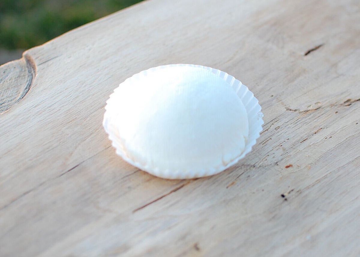 1月・2月限定製造販売！】雪やこんこ | Mirasaka Fromage