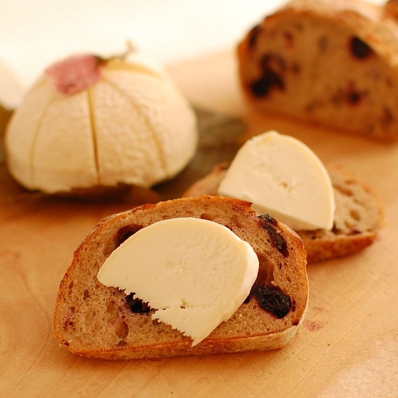 春限定！【ヤギのチーズ】さくら餅・シェーブル (Sakuramochi Chevre