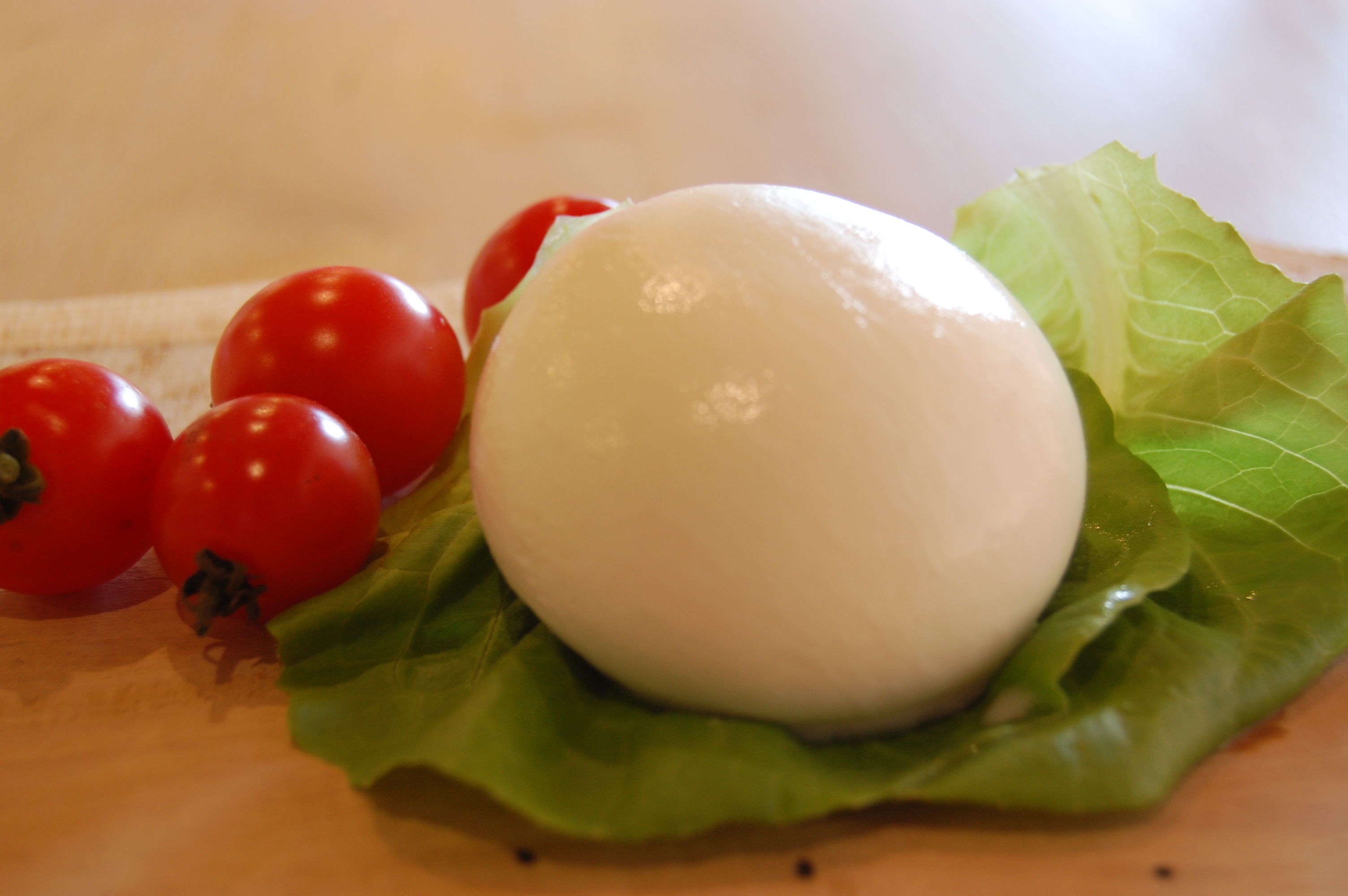 モッツァレラ (Mozzarella)＊ | Mirasaka Fromage