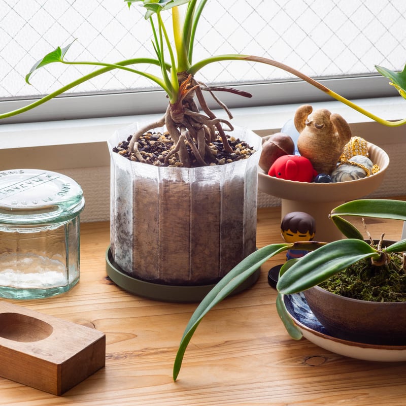 【新品】petsafe スクープフリー、プラスチックトレー スクープフリー】プラスチック トレー カートリッジ ペット