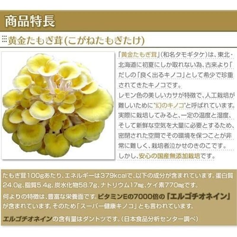 日本製 幻のキノコ 黄金たもぎ茸 錠剤 160mg 360錠 無添加 たもぎだけ ...