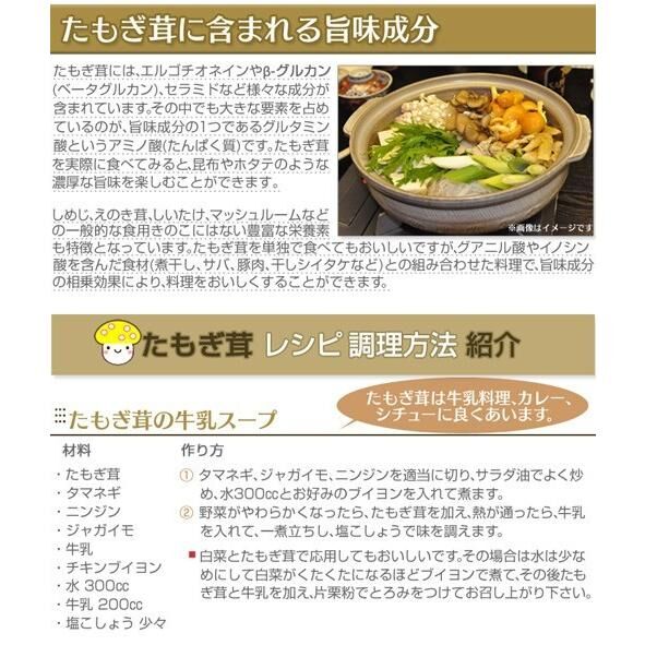 日本製 幻のキノコ 黄金たもぎ茸 錠剤 160mg 360錠 無添加 た 日本製 幻のキノコ 黄金たもぎ茸 錠剤 160mg 360錠 無添加 た