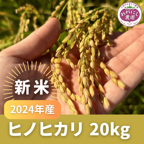 2024年度 新米 ヒノヒカリ 20キロ