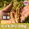 【完売】2024年度産 新米(ヒノヒカリ) 20kg