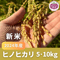 【完売】2024年度産 新米(ヒノヒカリ) 5kg・10kg