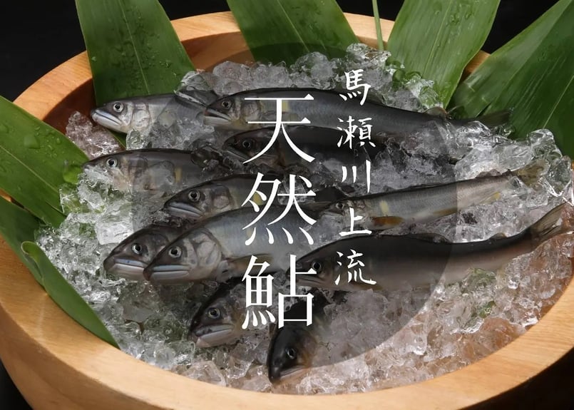 グランプリ受賞 馬瀬川上流鮎【冷凍】大小（約600g）丸八旅館 期間限定