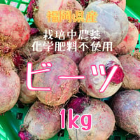 ビーツ3kg】食べる輸血！スーパーフード栽培中農薬化学肥料不使用