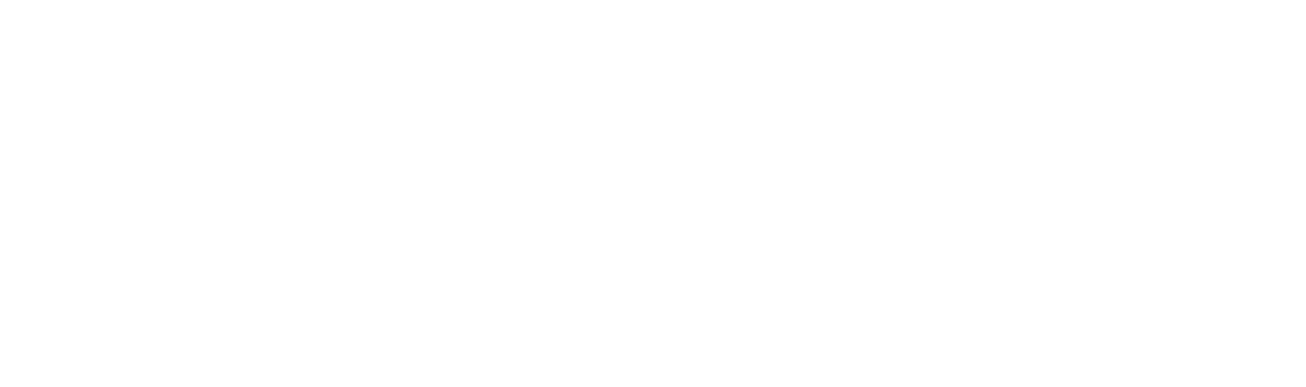 HANDSOME ONLINE STORE