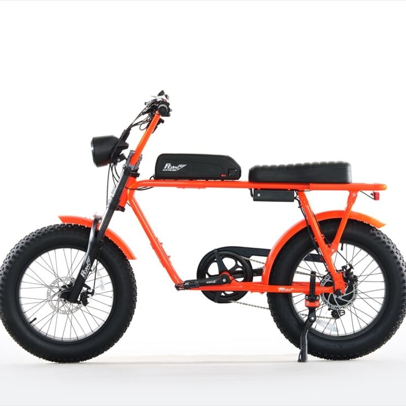 FLOW eバイク 自転車