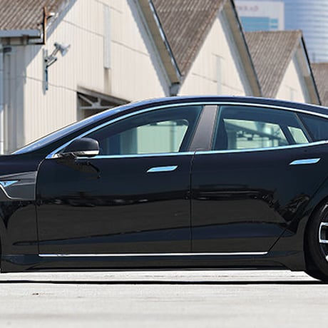 ARTISAN SPIRITS TESLA MODEL-S 前期 サイドステップ FRP+カーボン アーティシャン スピリッツ