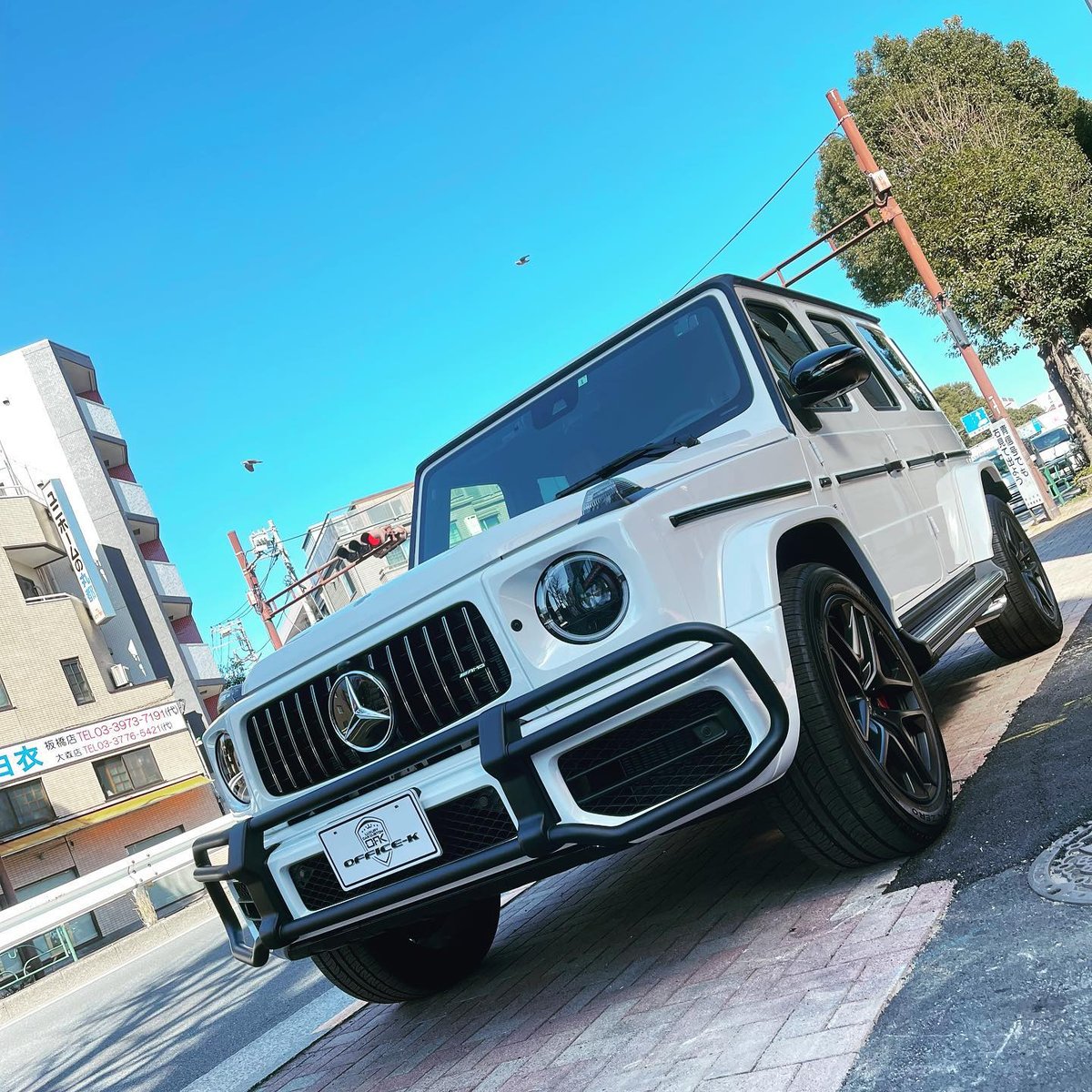 ベンツ Gクラス W463A G63用 バンパーガード/ブラッシュガード