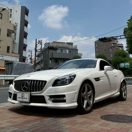 ベンツ SLKクラス R172 パナメリカーナグリル 縦フィン/GTR仕様 商品番号4838