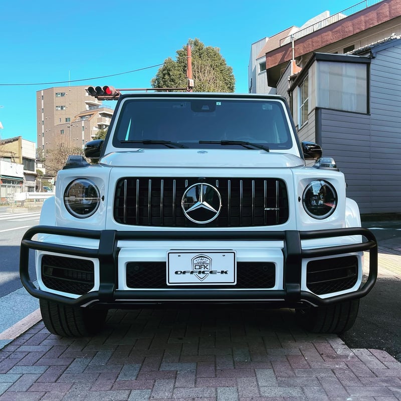 ベンツ Gクラス W463A G63用 バンパーガード/ブラッシュガード