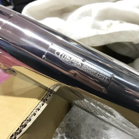 新品 チュービ スタイル Tubi Style フェラーリ エンツォ リアマフラー インコネル Ferrari ENZO ストレート